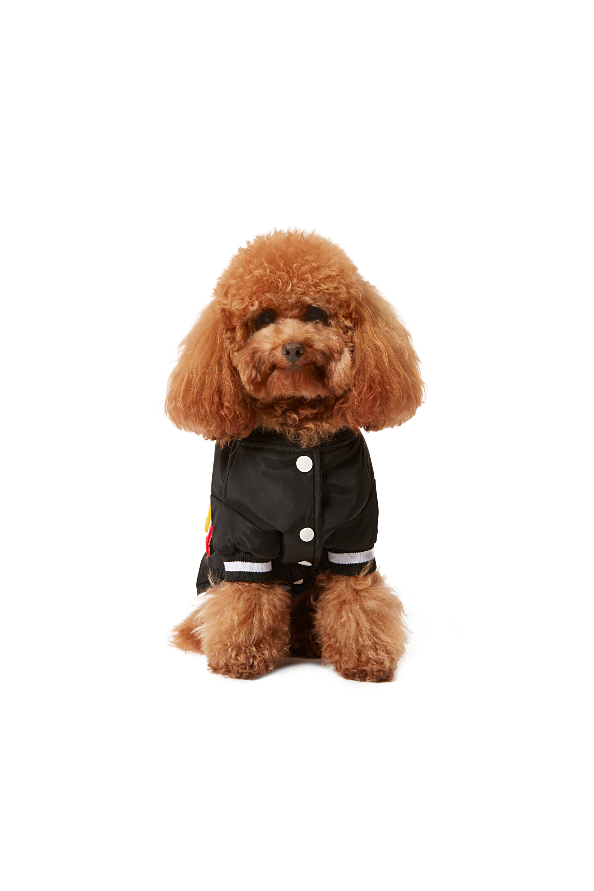 Diesel - PET-CHWORK, Black - Image 3