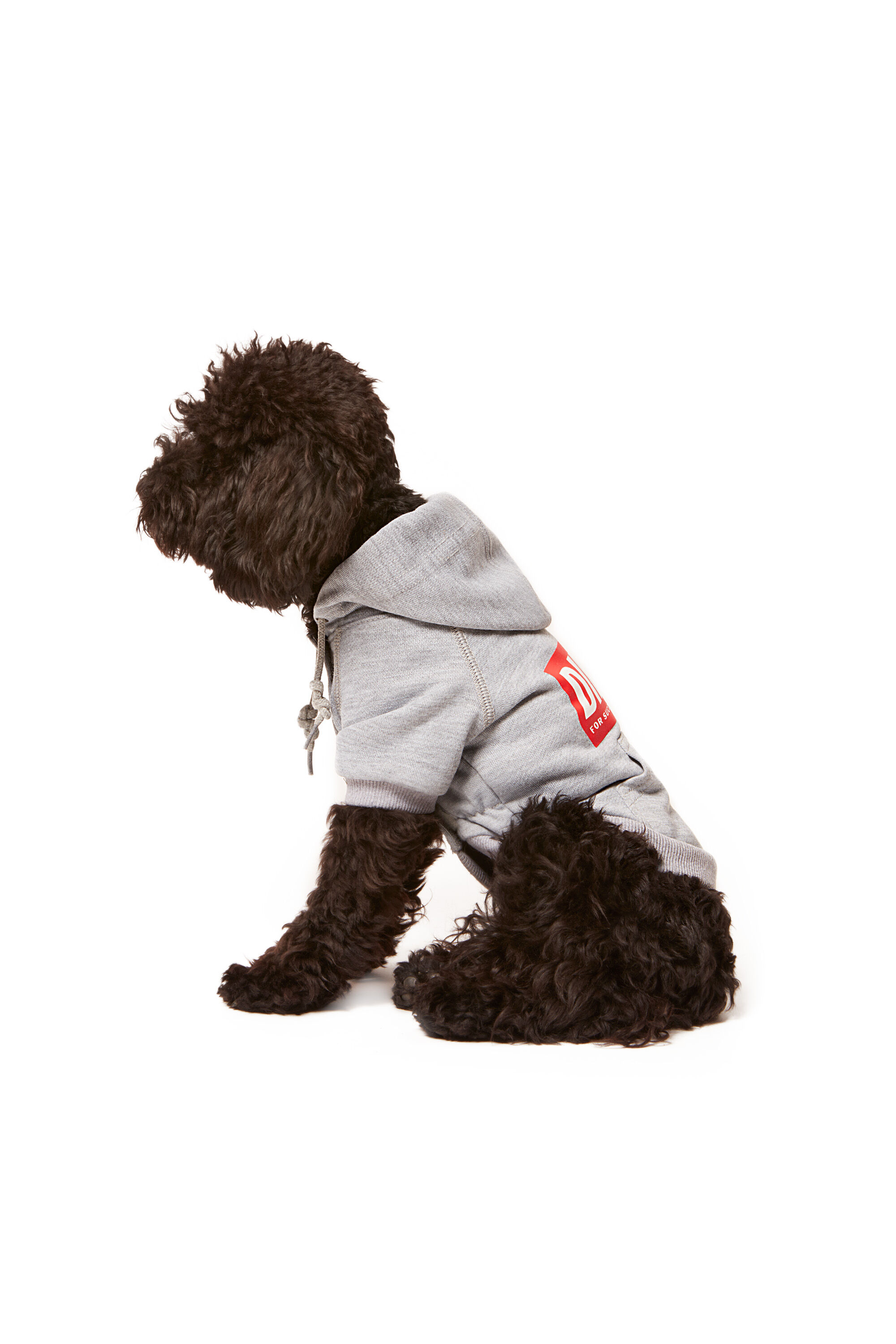 Diesel - PET-SCOTTO, Grey - Image 5