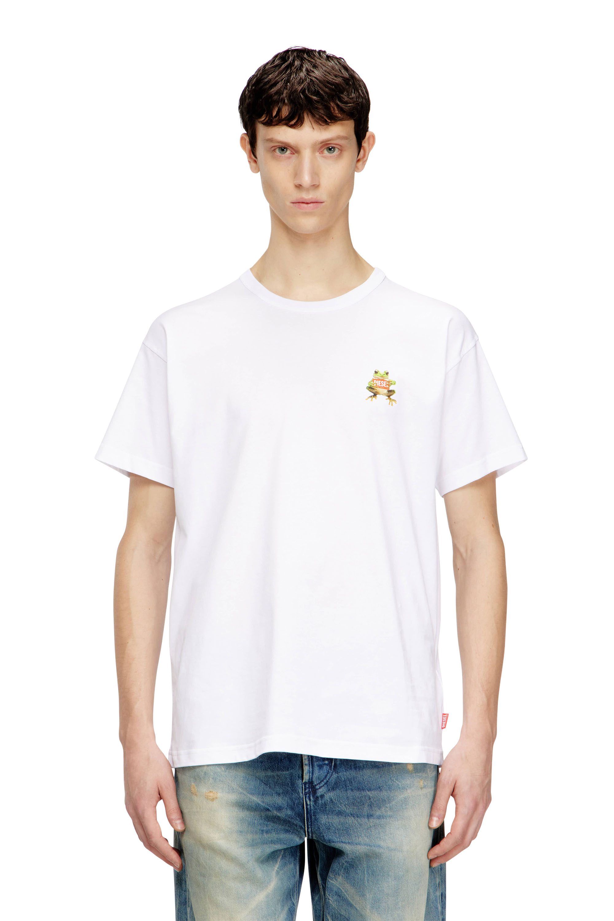 Diesel - T-NORM-FROG, Man's T-shirt with frog and logo print in null - 1