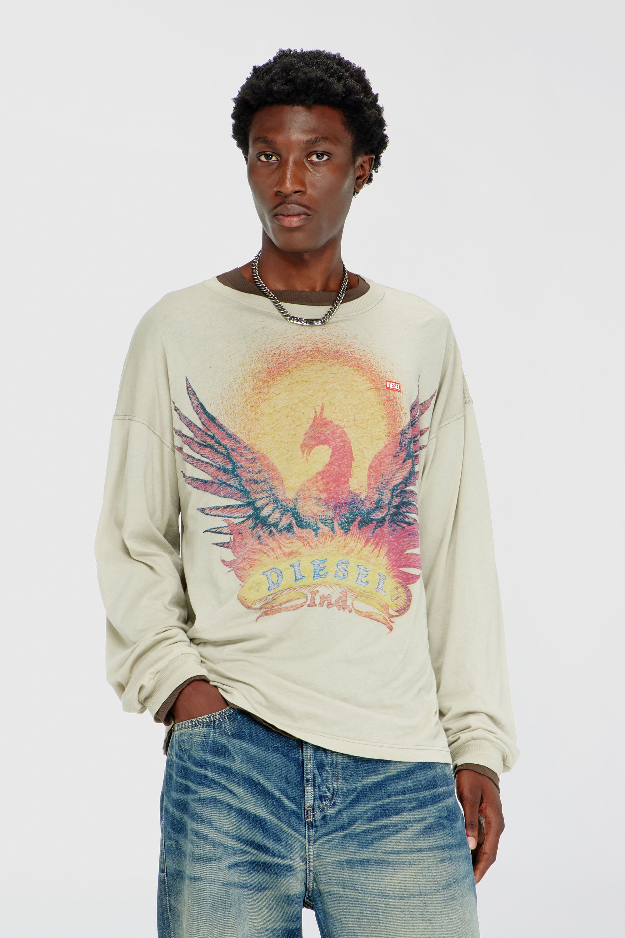Diesel - T-BOXT-LS-AA1, Man's Long sleeve T-shirt with Phoenix graphic in Beige - 1