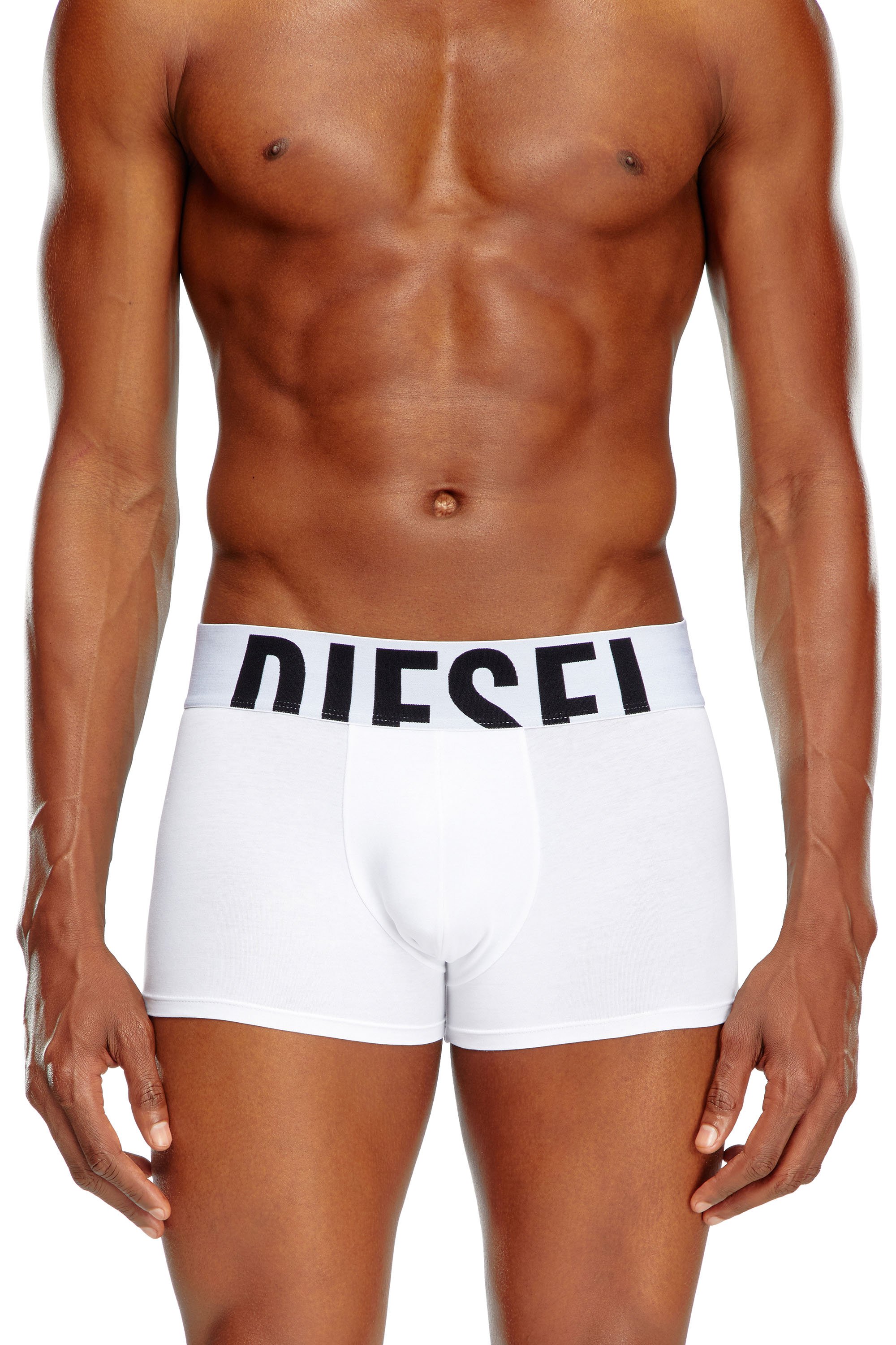 Diesel - UMBX-DAMIENTHREEPACK-5.5EL, Man's Three-pack boxer briefs in stretch cotton in Black/White - 2