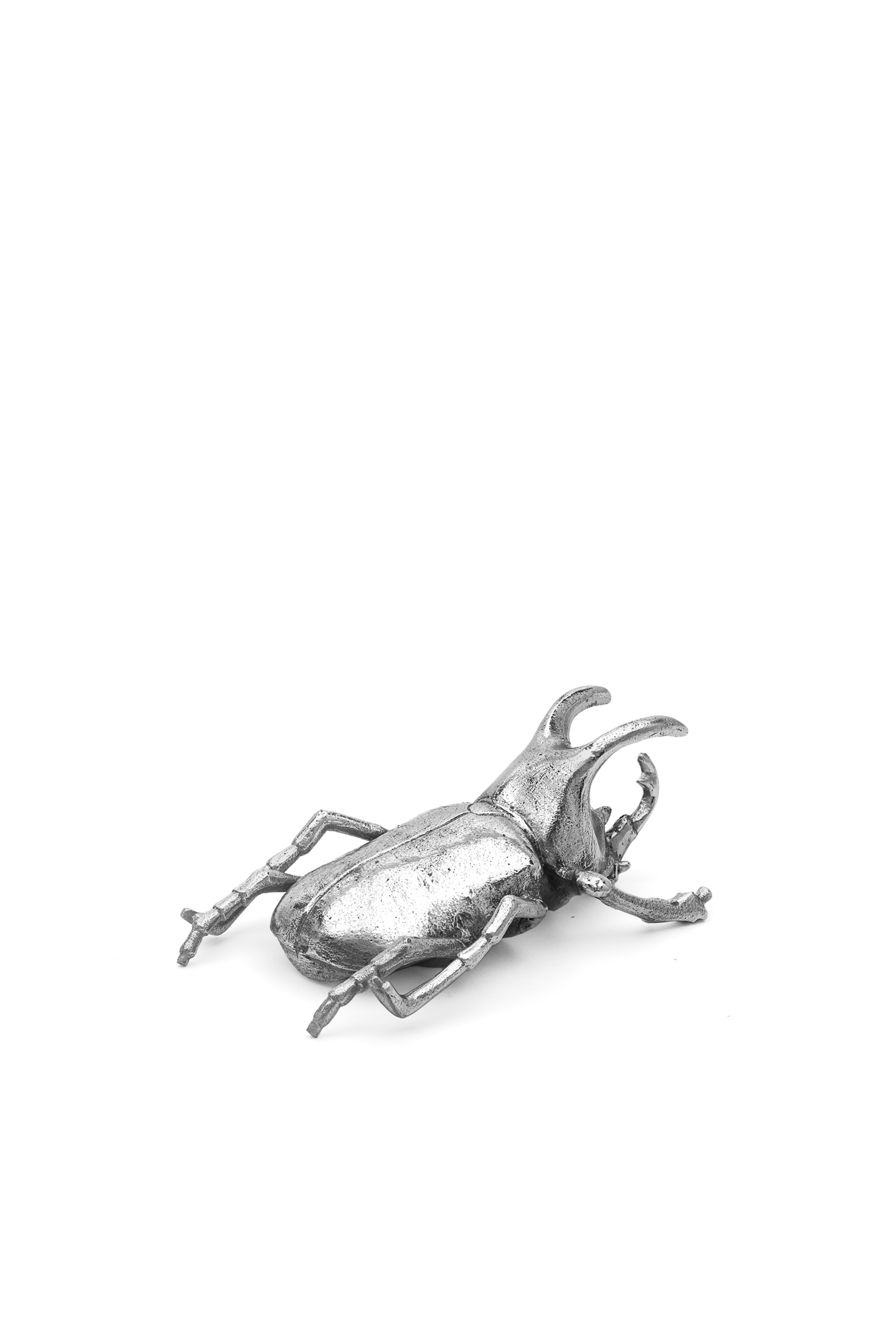 10887 WUNDERKAMMER, Silver - Home Accessories